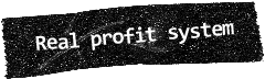 Real profit system